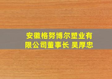 安徽格努博尔塑业有限公司董事长 吴厚忠